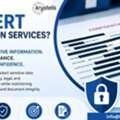 Need Expert Redaction Services?