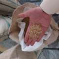 SAR 250,  Pakistani Rice 1121 For Hotels And Kitchens