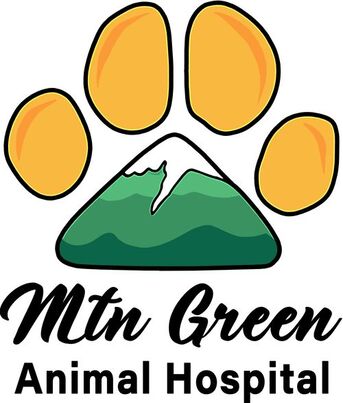 New York, Business, Mtn Green Animal Hospital