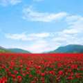 Valley Of Flowers Tour Package