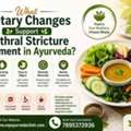 What Dietary Changes Support Urethral Stricture Treatment In Ayurveda?