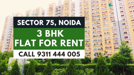 Noida, Real Estate, What Rental Options Are Available For Apartments In Noida?