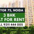 What Rental Options Are Available For Apartments In Noida?