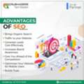 Best SEO Company In Bhubaneswar