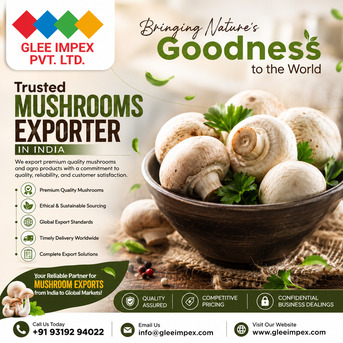 Mumbai, General, Trusted Mushrooms Exporter In India &ndash; Premium Quality For Global Markets