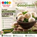 Trusted Mushrooms Exporter In India &ndash; Premium Quality For Global Markets