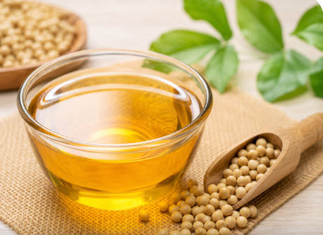 Indore, Food, Premium Non GMO Soya Lecithin For Food & Industrial Applications