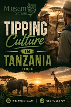 Dar es Salaam, Travel, Migsam Safaris &ndash; Tipping Culture In Tanzania Guide