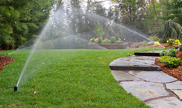 New York, Business, Professional Allen Irrigation System Installation