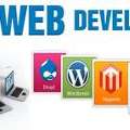 Professional Website Design By Vega Technologies LLC