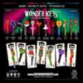 USD 6,  Decorative Key Blanks & Cool House Keys | Wonder Keys &ndash; Guitar Shaped Keys