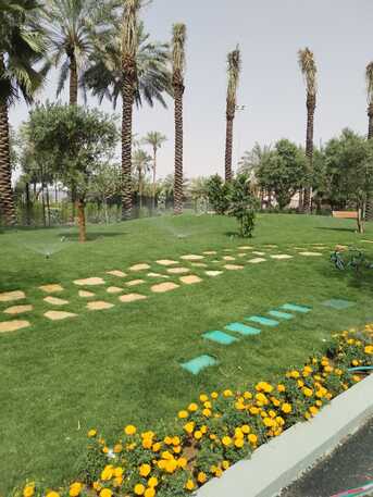 Riyadh, Fashion & Design, 🌿 Riyadh Garden Glow-Up! | تنسيق حدائق احترافي | Landscaping & Gardening Services |