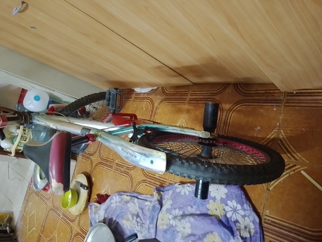 Jeddah, Bicycles, SAR 200,  COBRA CYCLE