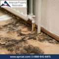 Mold Remediation In Hartselle | American Property Restoration