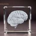 Luxury Engraved Crystal Awards For Special Occasions