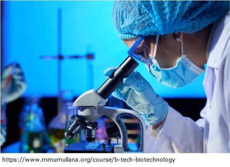 Mumbai, Education, Btech Biotechnology North India