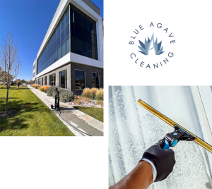 New York, Cleaning, Blue Agave Cleaning