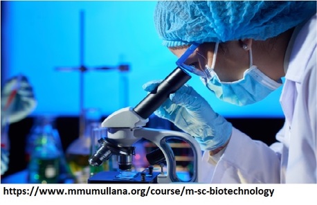 Haryana, Education, Best Msc Courses After Bsc Biotechnology