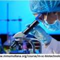 Best Msc Courses After Bsc Biotechnology