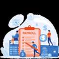 Payroll Management System Software | Automated Payroll Processing ERP