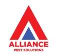 Rodent Control Northern Beaches &ndash; Fast Rat & Mice Removal