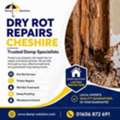 Cheshire Dry Rot Solutions | Free Survey & Quote