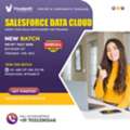 Salesforce Data Cloud Training &ndash; New Batch Registration Open