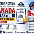 How To Select A BIS Consultant In Canada?