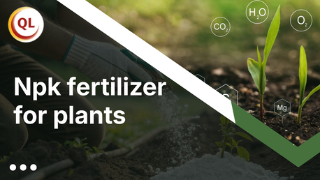 Ho Chi Minh City, Farm & Garden, NPK Fertilizer For Plants
