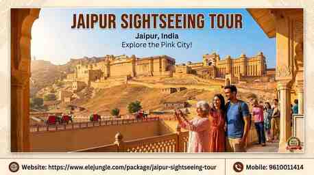 Jaipur, Travel, Explore The Pink City: The Ultimate Jaipur Sightseeing Tour Guide