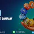 Turn Blockchain Ideas Into Reality With 50% Off Token Development