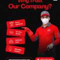 Protect Your Property From Pests – Book Expert Pest Control In Dubai Today!