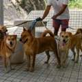Dog Walkers In Nagpur