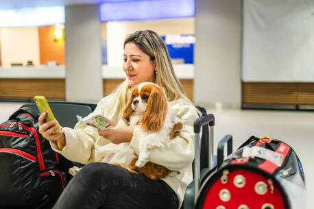 London, Pet Sitting, Best Dog Boarding Services &ndash; Safe, Caring & Reliable Pet Care