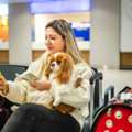 Best Dog Boarding Services &ndash; Safe, Caring & Reliable Pet Care
