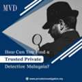 How Can You Find A Trusted Private Detective Malaysia?