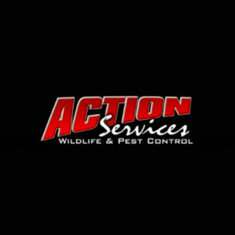 New York, Business, Action Services WildLife & Pest Control