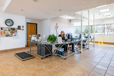 New York, Pet Sitting, Plaistow-Kingston Animal Medical Center