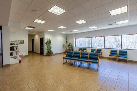New York, Pet Sitting, Plaistow-Kingston Animal Medical Center