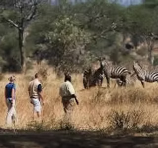 New York, Business, What Makes Family Safaris In South Africa Truly Unforgettable?