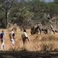 What Makes Family Safaris In South Africa Truly Unforgettable?