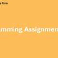 How Can Programming Assignment Help Improve Your Grades?