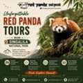 Unforgettable Red Panda Tours Near Singalila National Park