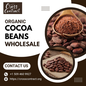 New York, Food, Organic Cocoa Beans Wholesale