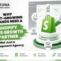 Fast Growing Brands Need A Shopify Plus Growth Partner