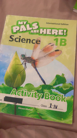 Al Muruj, Books, SAR 350,  Pises Grade One Books