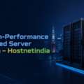 Get High-Performance Dedicated Server In Japan &ndash; Hostnetindia