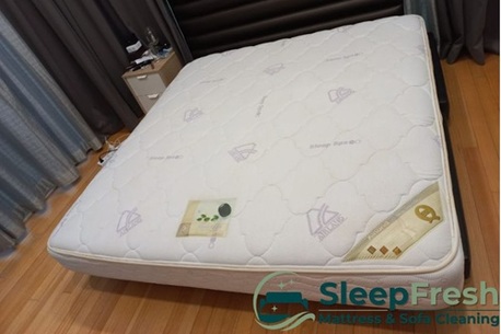 Singapore, Business, SleepFresh Mattress & Sofa Cleaning Singapore