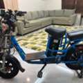 SAR 1200,  E- BIKE