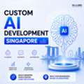SGD 5000,  Custom AI Development In Singapore